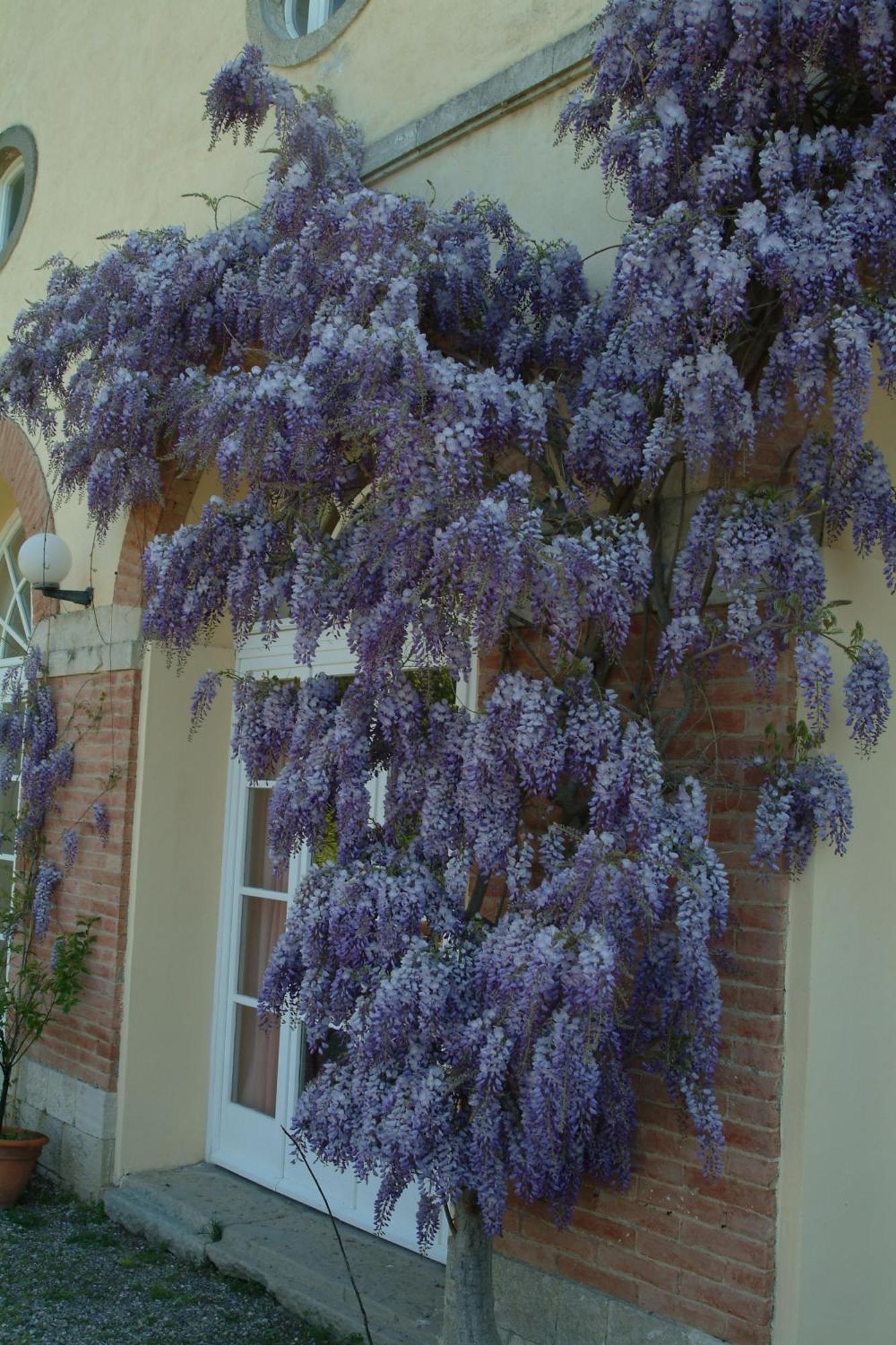 Villa Palagione Centro Interculturale Volterra Esterno foto